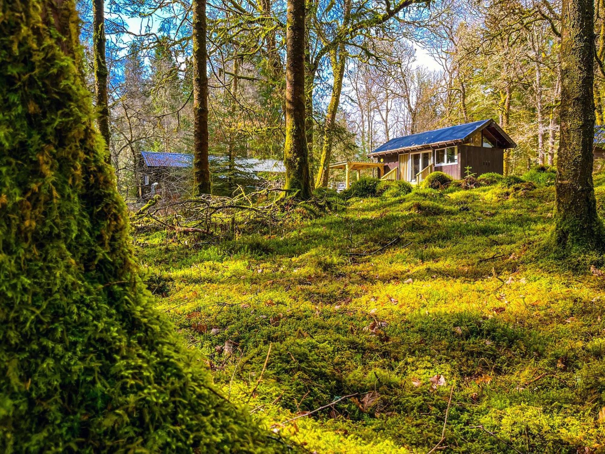 Loch Aweside Forest Cabins Dalavich Rom bilde